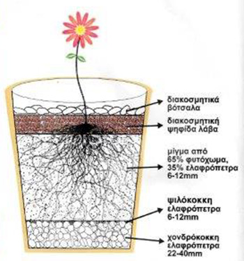 systima fyteysis